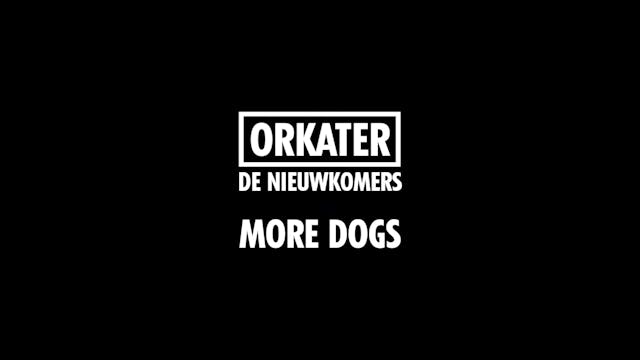 More Dogs/Orkater | Real Boys