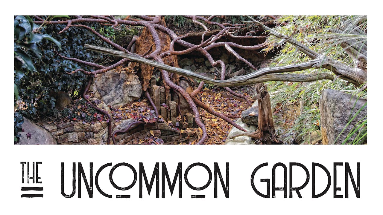 The Uncommon Garden