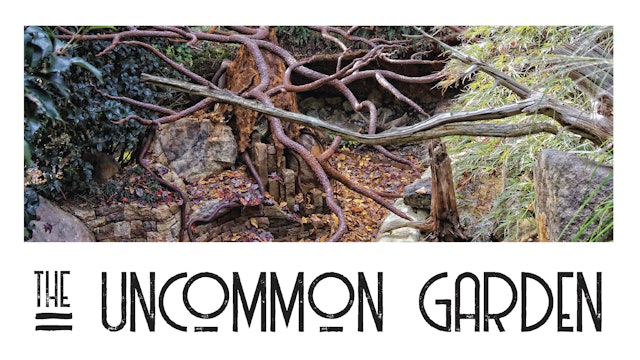 The Uncommon Garden