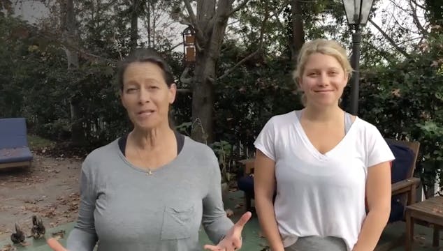 Sweat with the Curry Girls: Home Work...