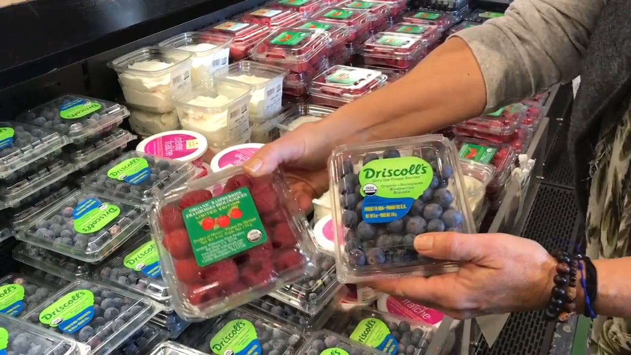 "How To" Grocery Shopping -- How We Shop and What We Buy (while cleansing)