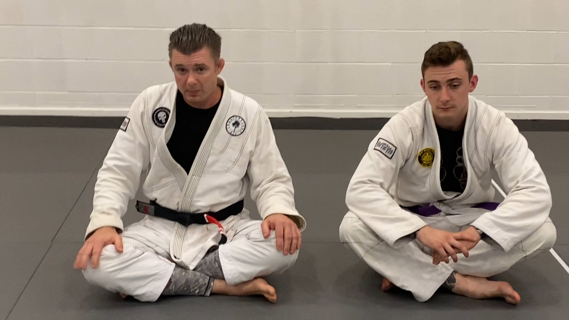 5 - Python Bridge to Rollover Recovery