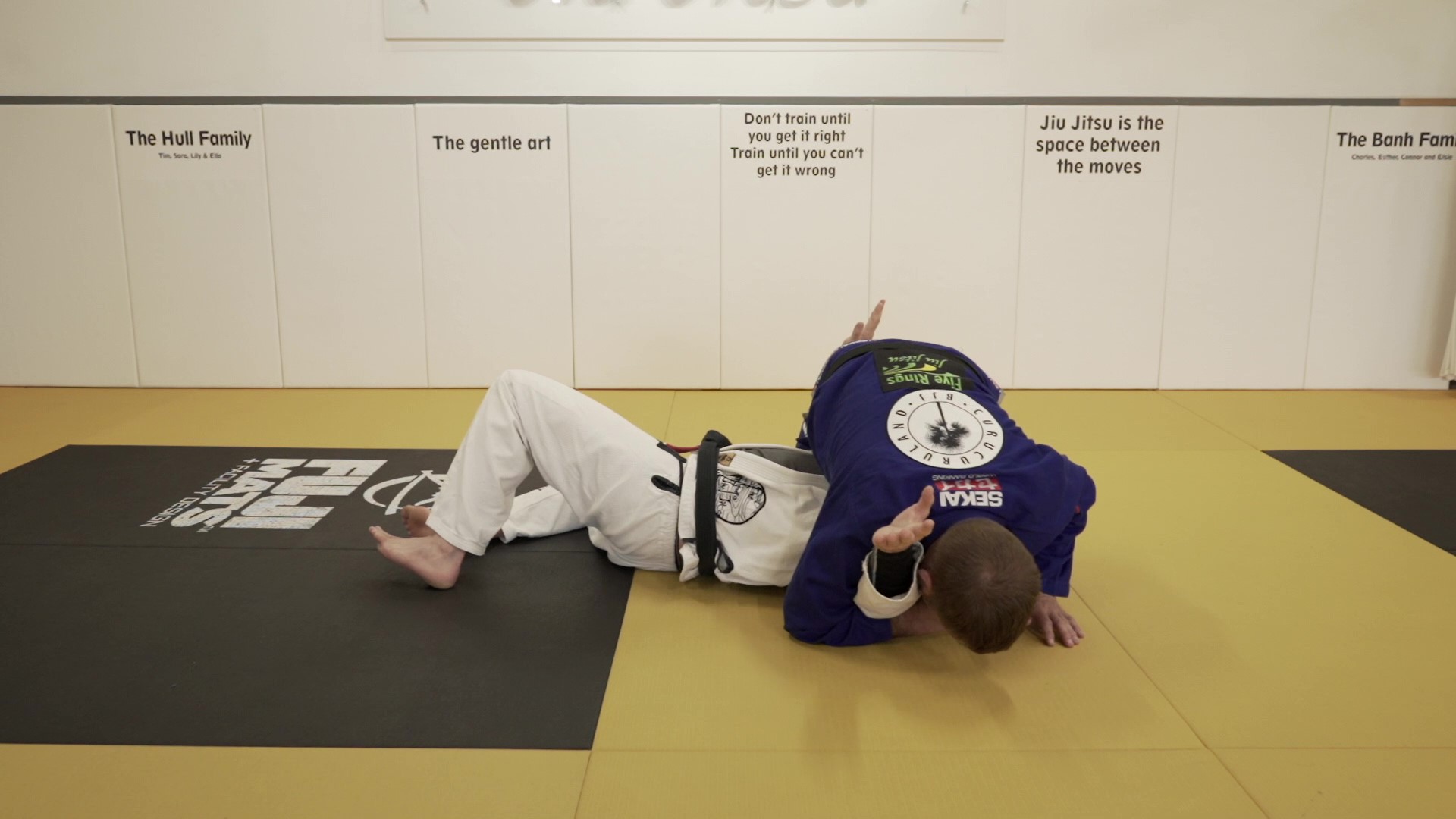 2 Knee Over Armbar