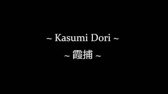 9 - Kasumi Dori