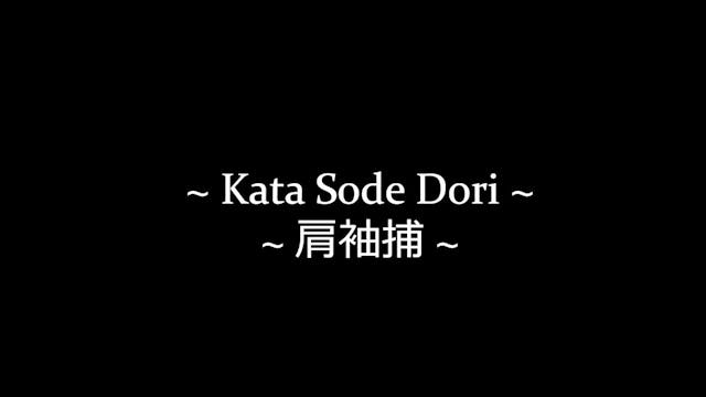 2 - Kata Sode Dori