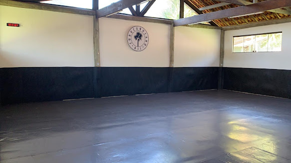 The Curucuruland System