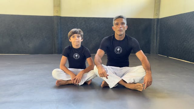 Class 3 - Arm lock from the mount