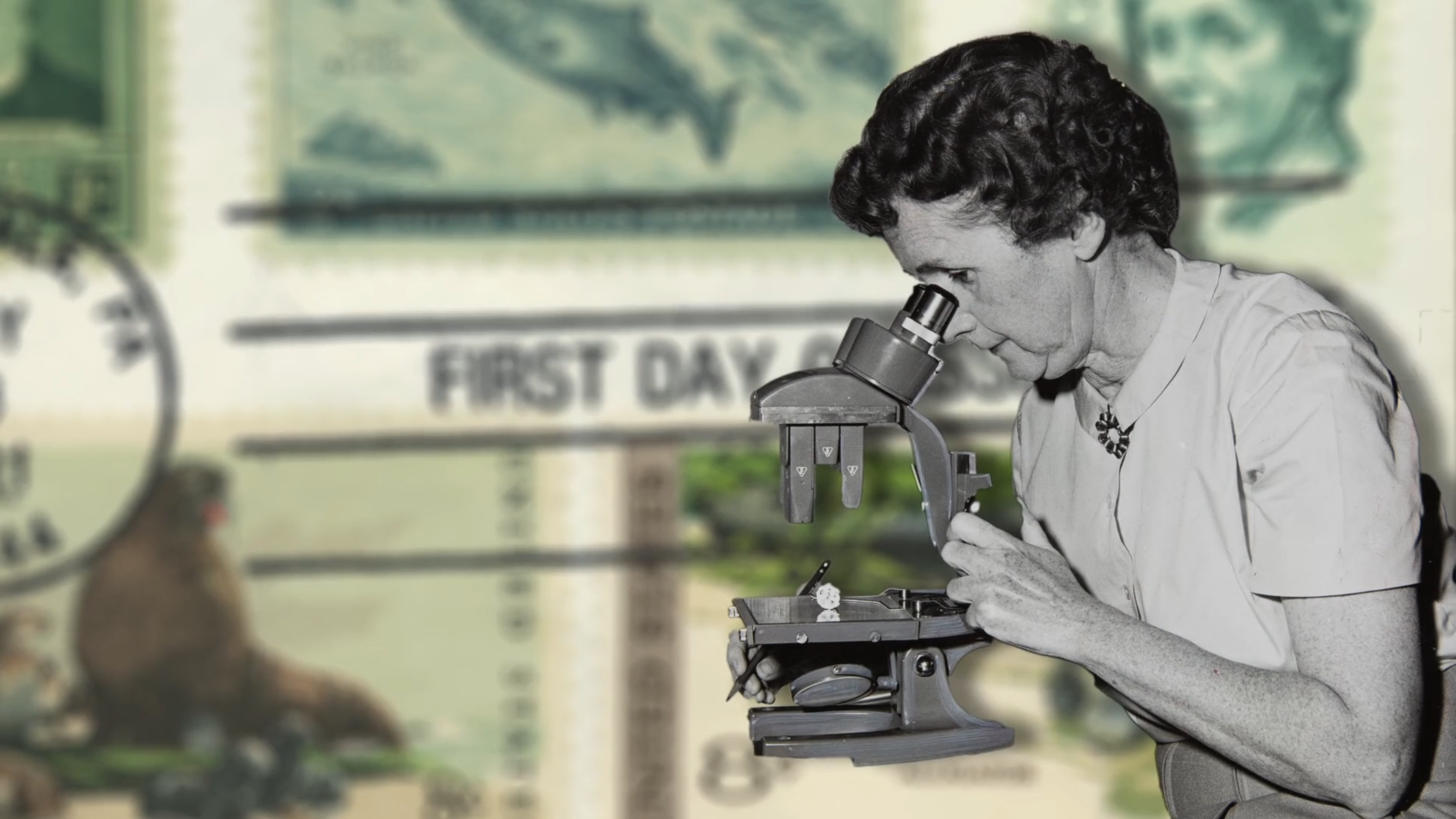 Persuasion and Positive Change in American History