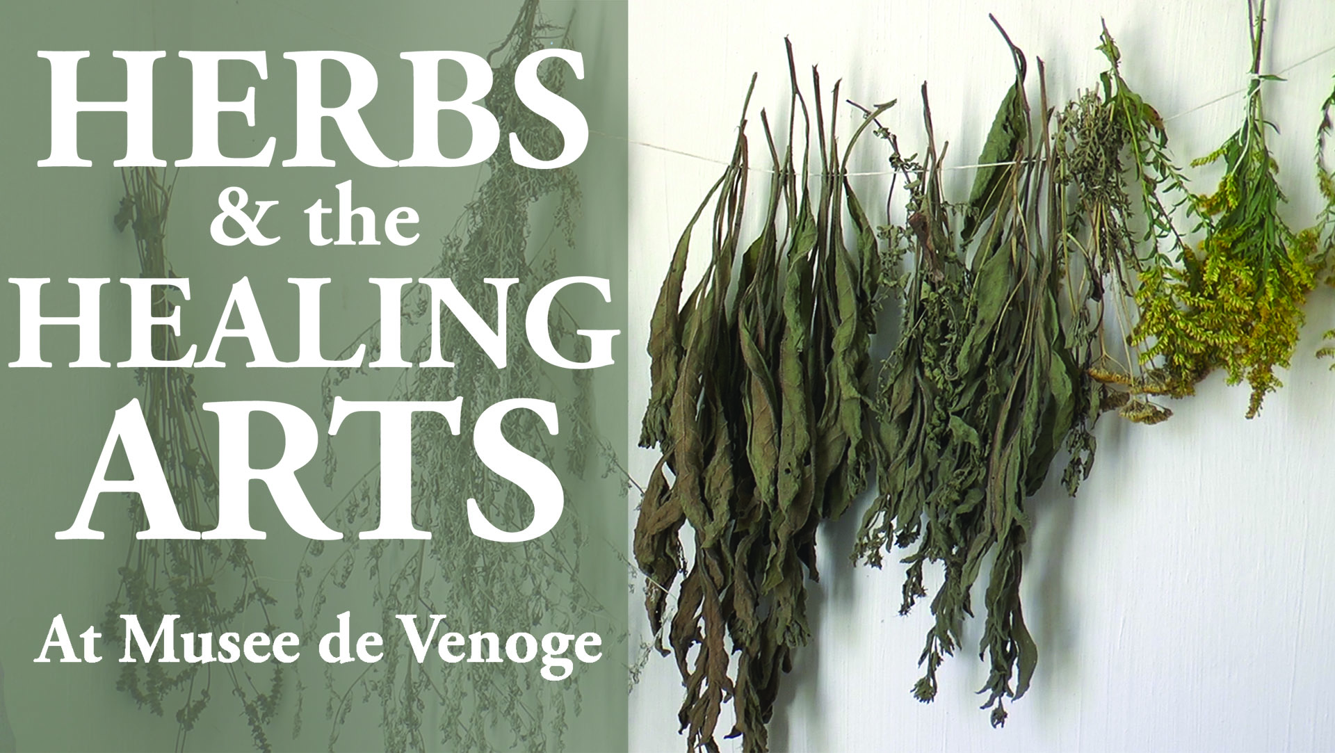 Herbs and the Healing Arts