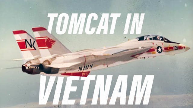 F-14 Tomcat in Vietnam