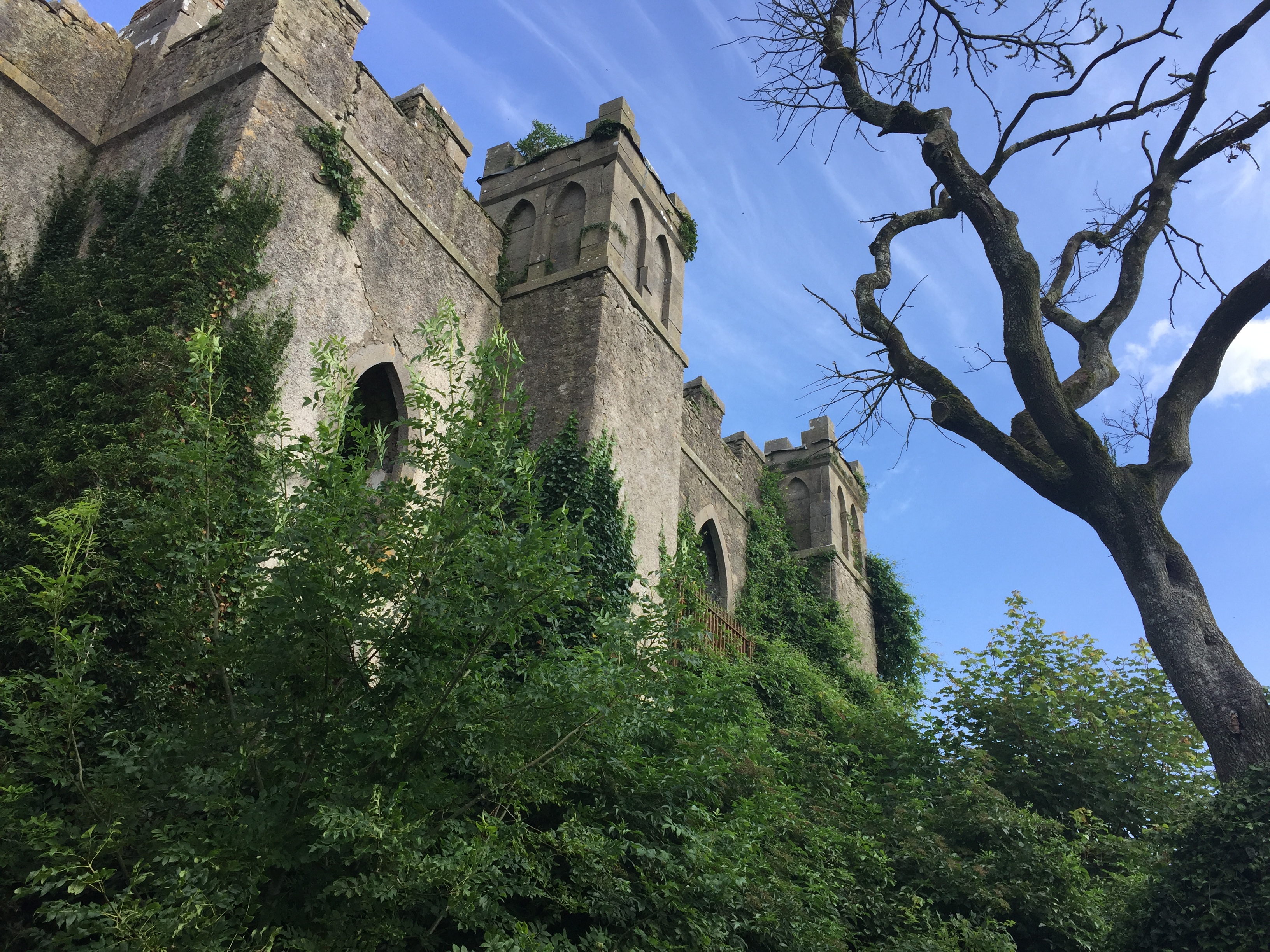 True Gaelic - Trailer