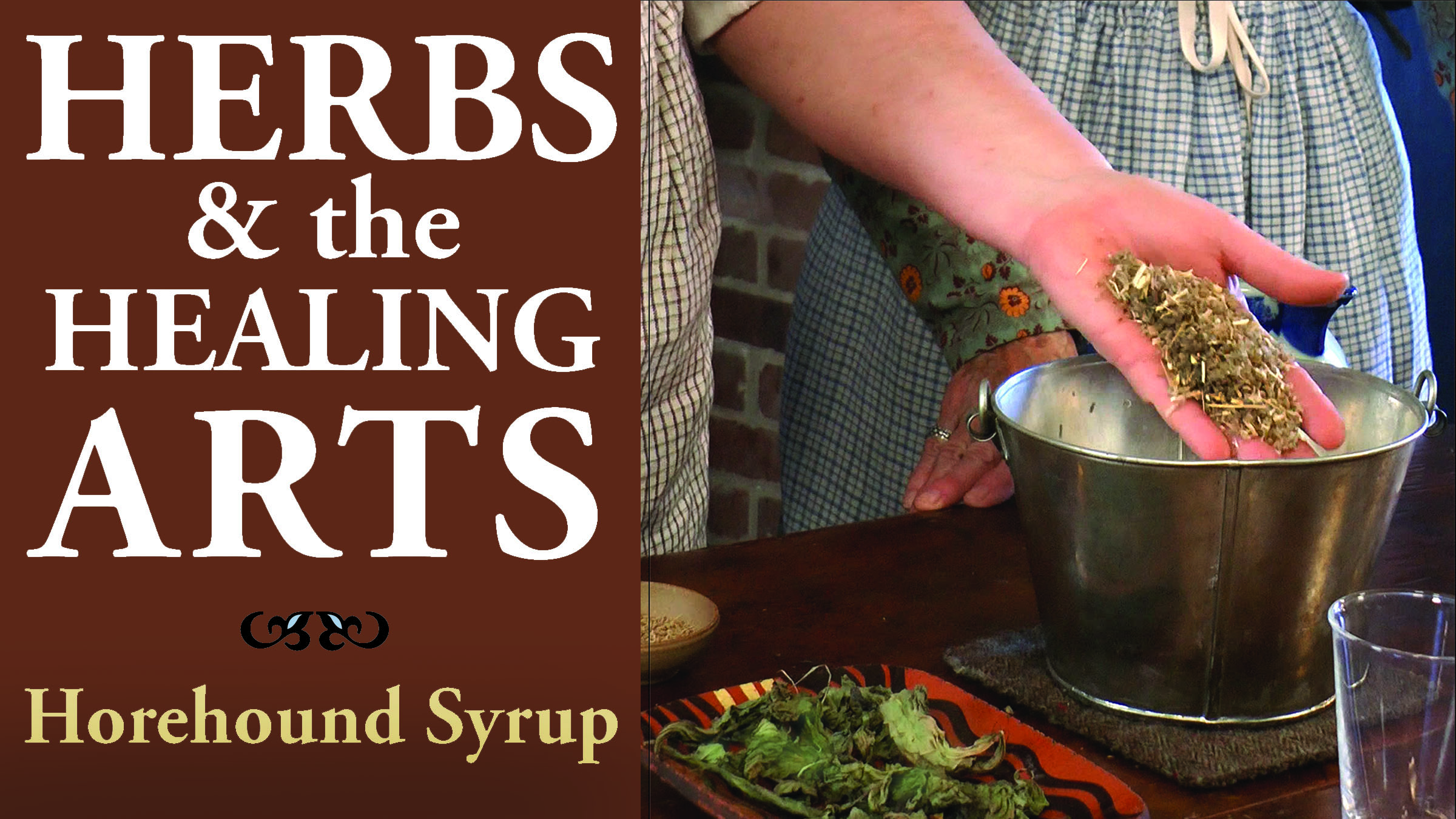 Horehound Syrup - Traditional Healing Recipe