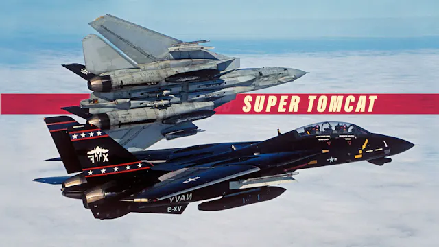 Super Tomcat - the Lost Potential of ...