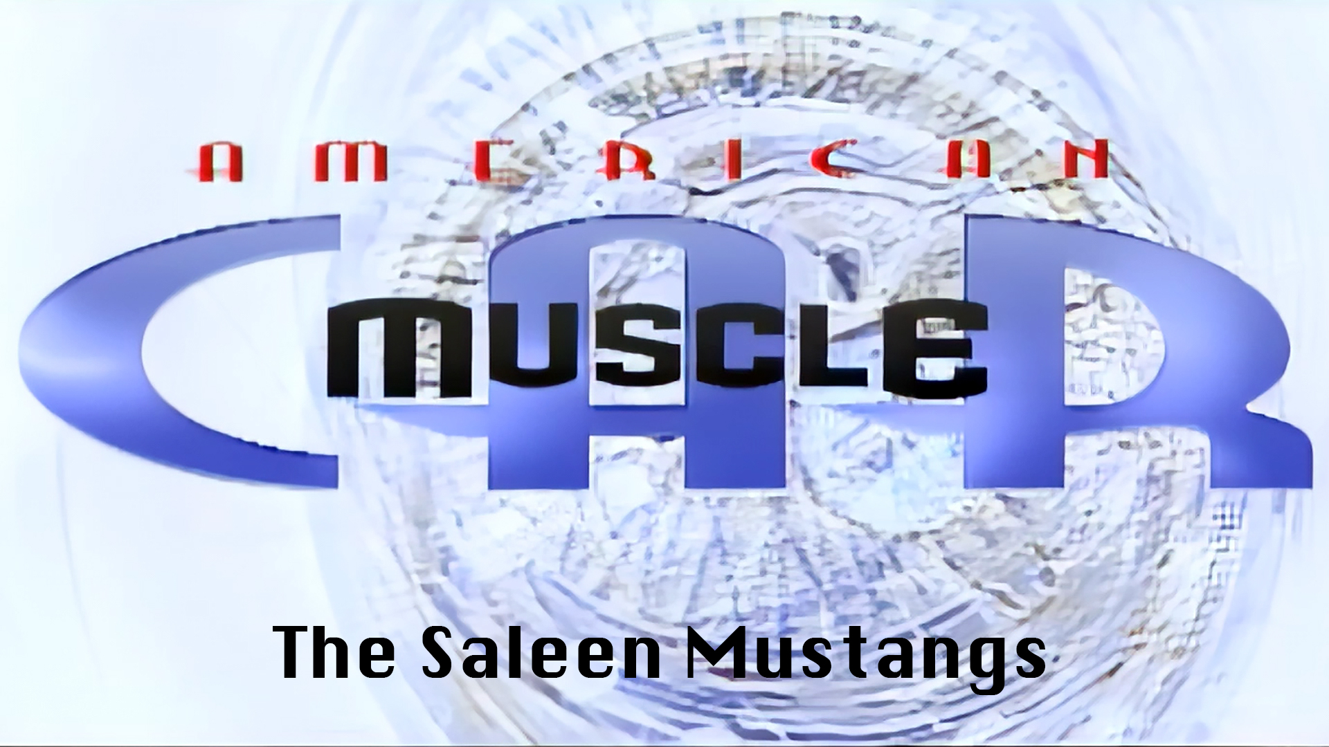 The Saleen Mustangs