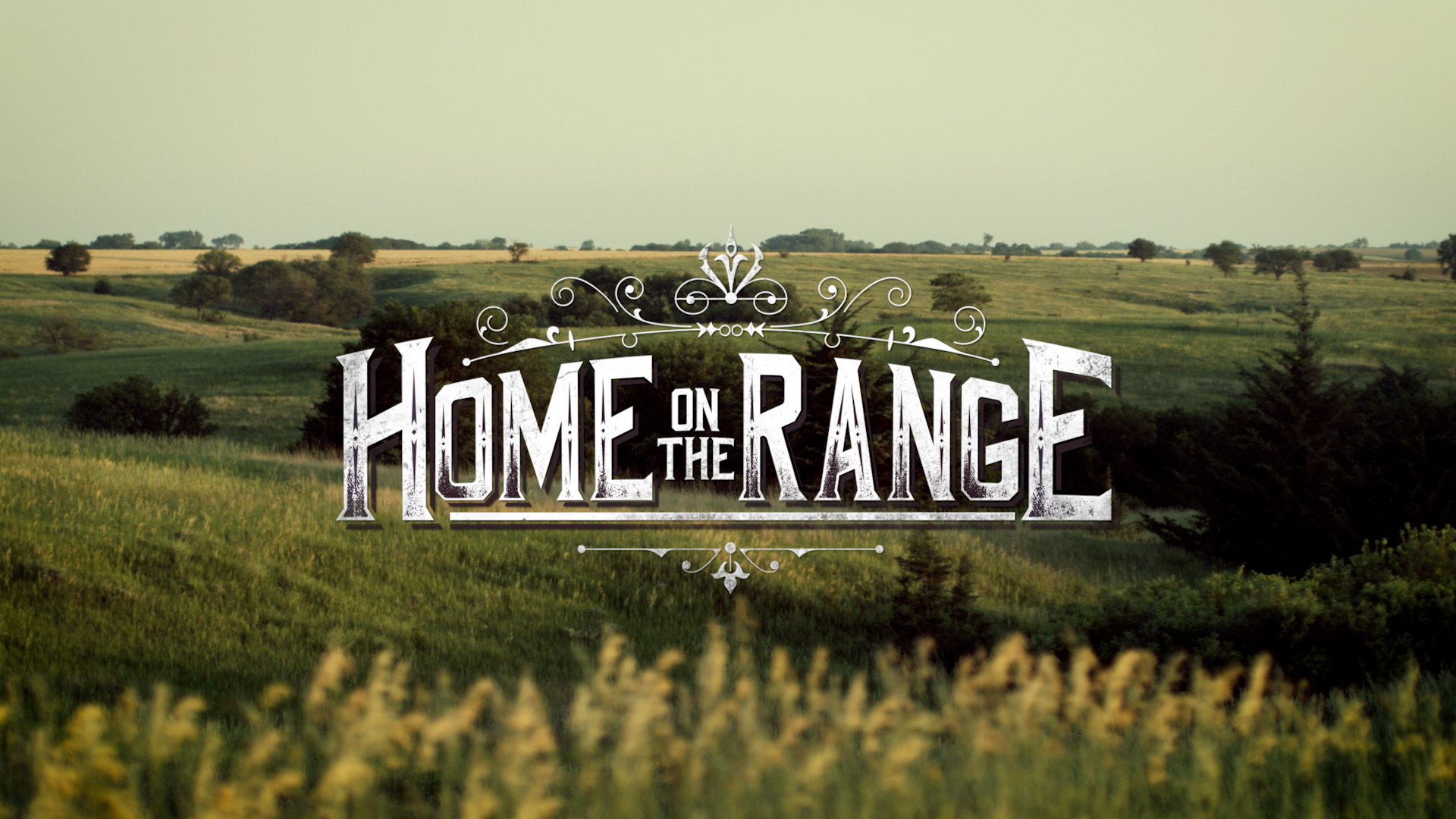 Home on the Range