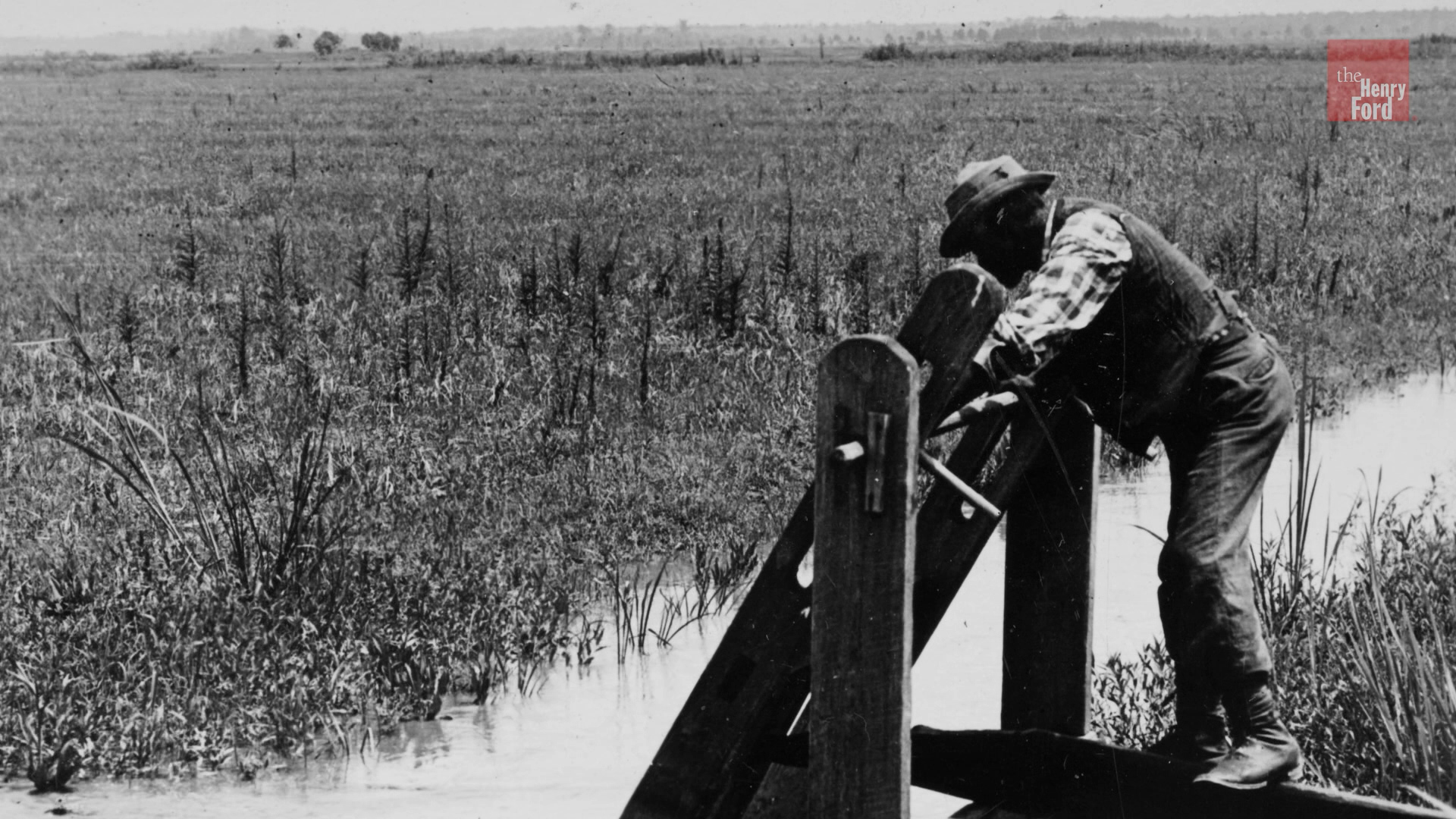 History of African American Farm Families During the Industrial Age