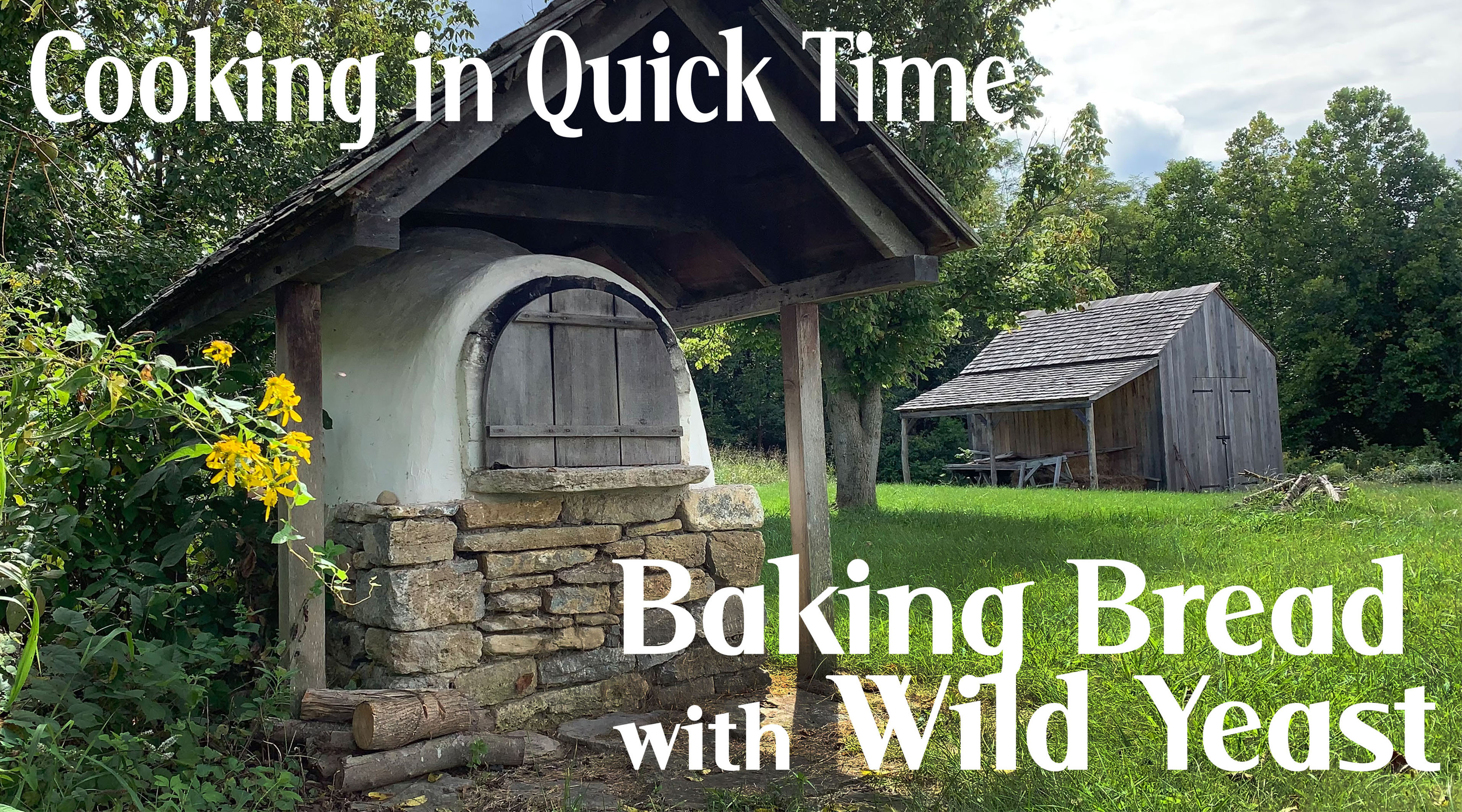 Baking Bread with Wild Yeast