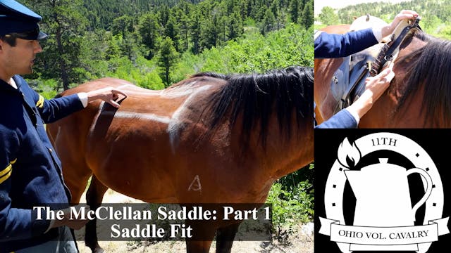McClellan Saddles: Part 1 - Saddle Fit