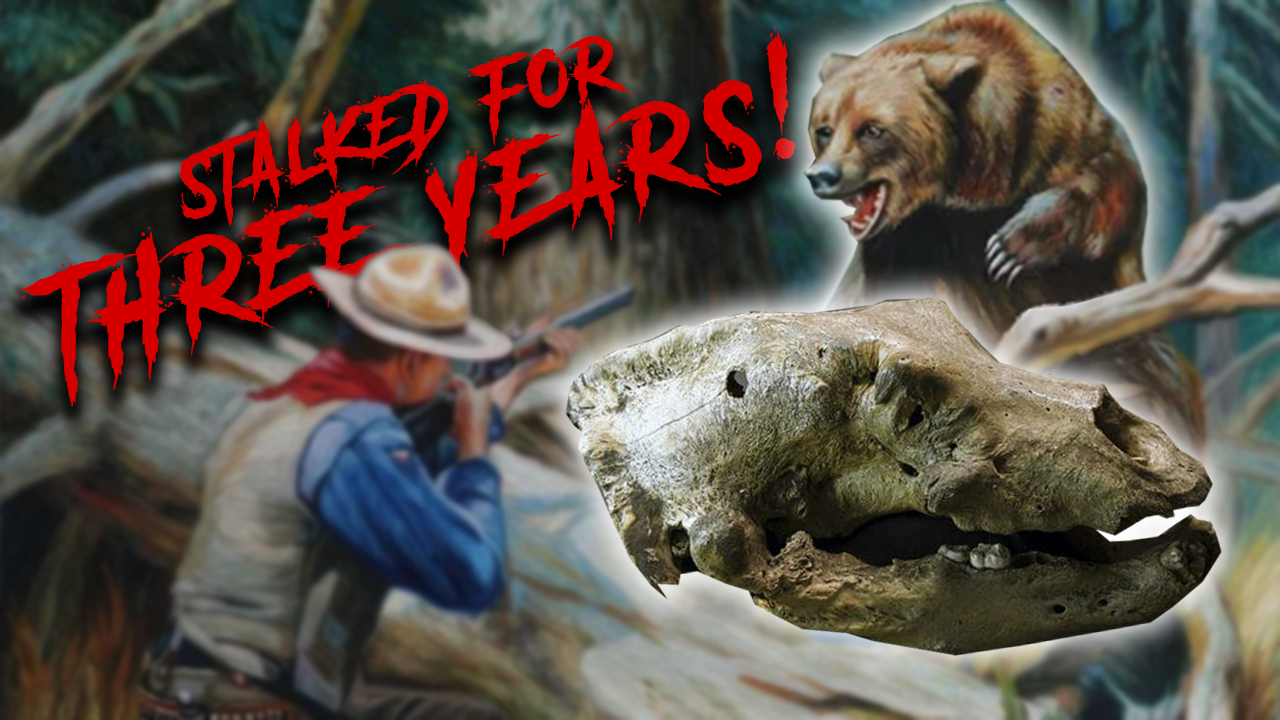 Old Groaner Documentary: Trailer