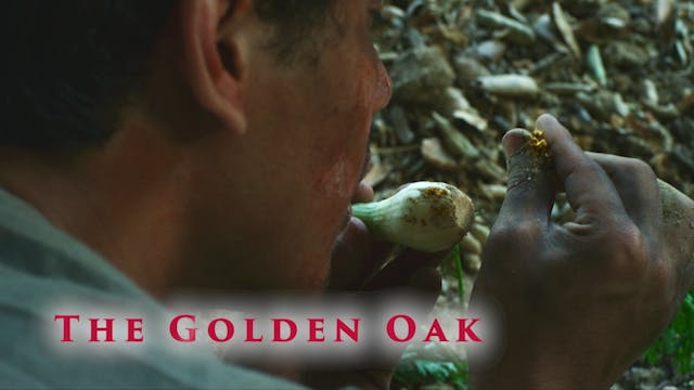 The Golden Oak