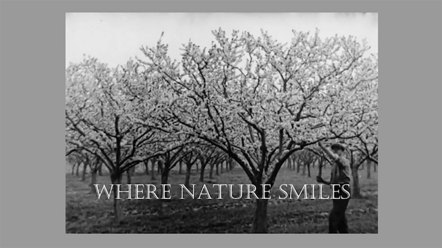 Where Nature Smiles
