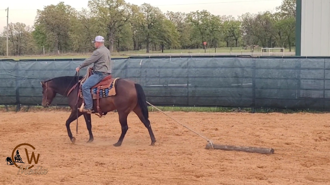 Results Of The Gelding With A Rope!