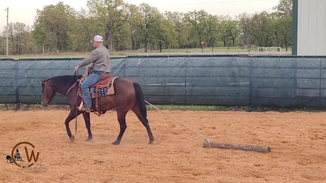 Results Of The Gelding With A Rope!