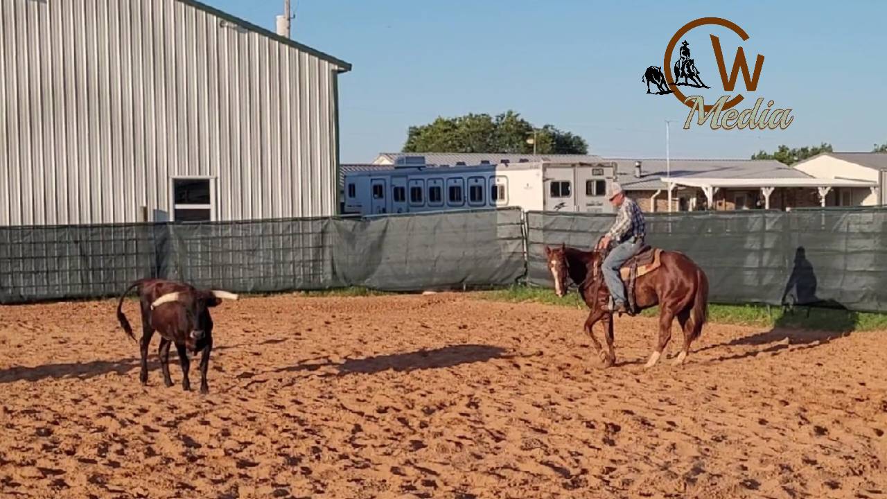 Starting A Two Year Old - Arena Warm Up & Working A Steer With Turnback Help