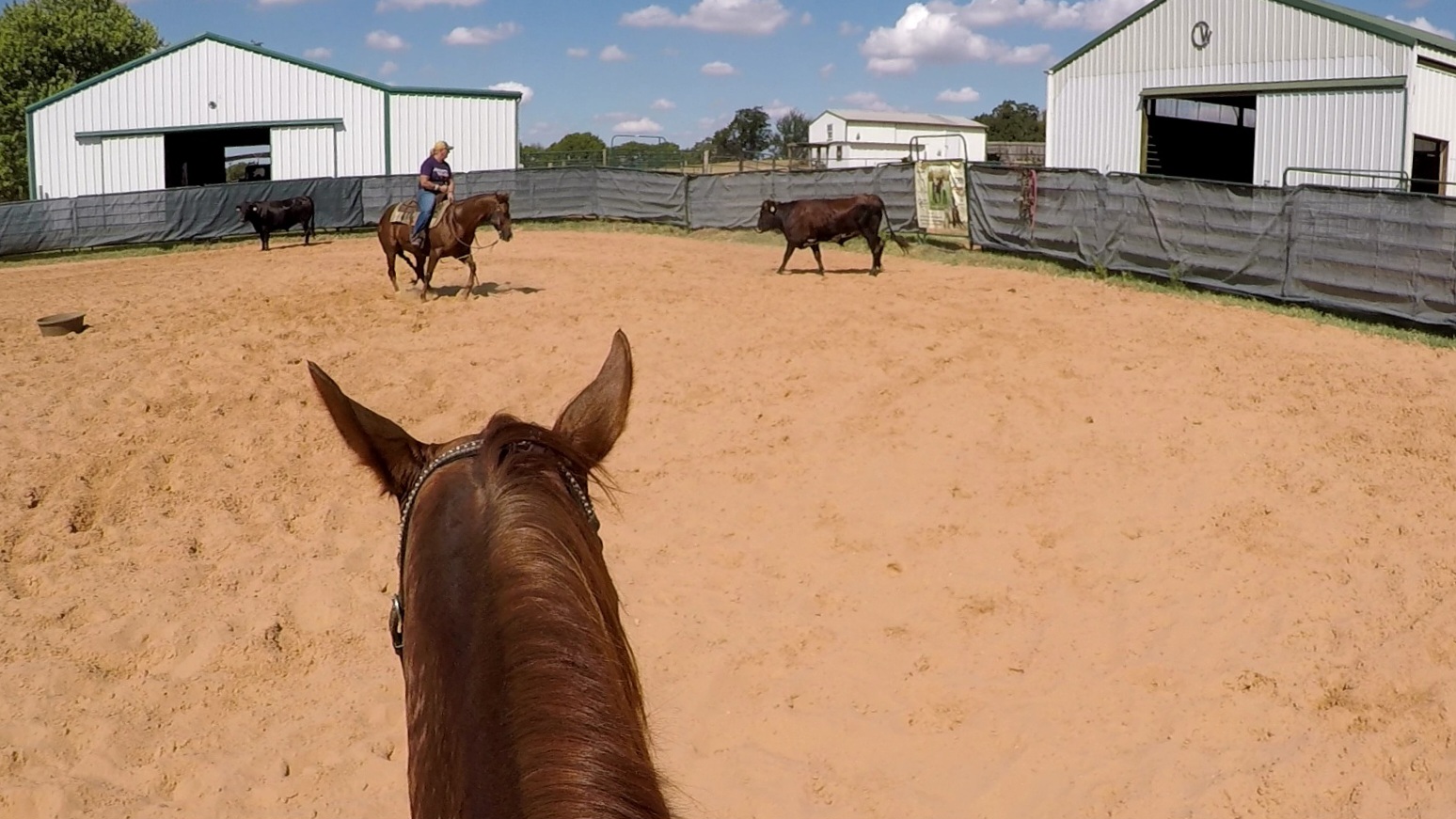 Clay Teaching A Cutting Lesson