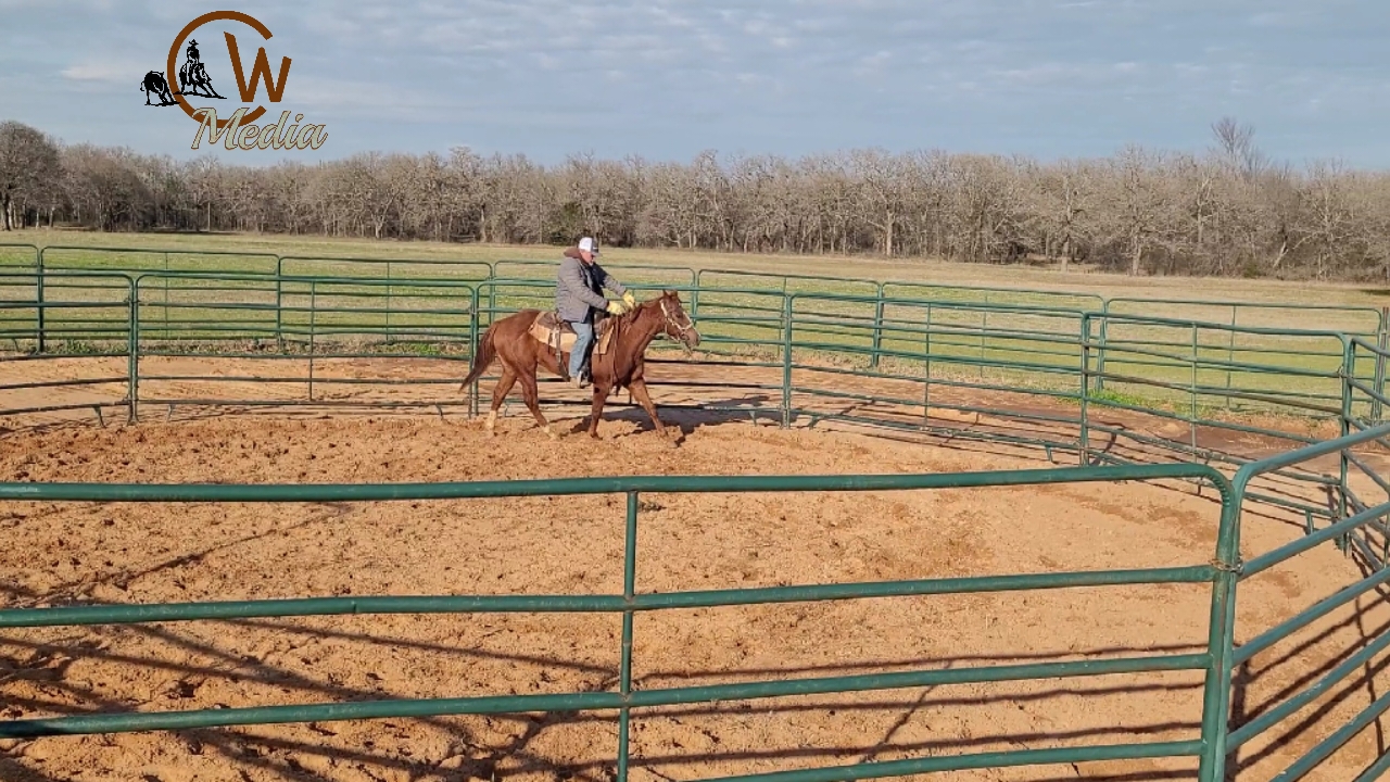 Starting A Two Year Old - Figure 8s & Guiding 