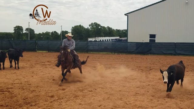 Working Cattle In A Cutting Pen