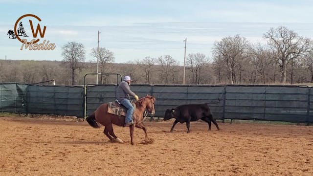 Training A Young Cutting Horse - Sess...