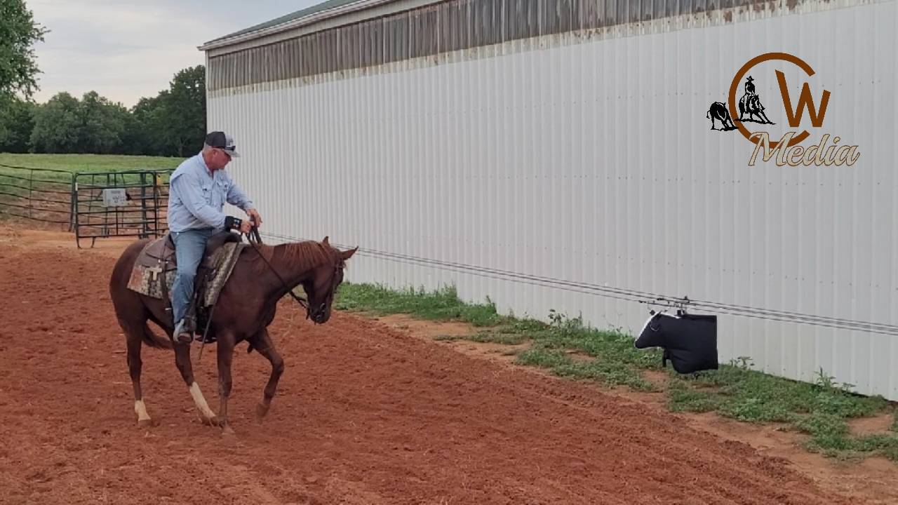 Starting A Two Year Old - Continuing The Mechanical Cow Work