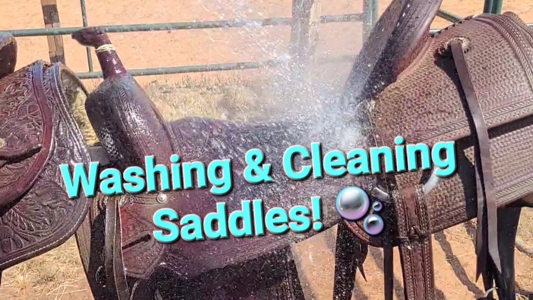 The Best Way To Wash & Condition Saddles!