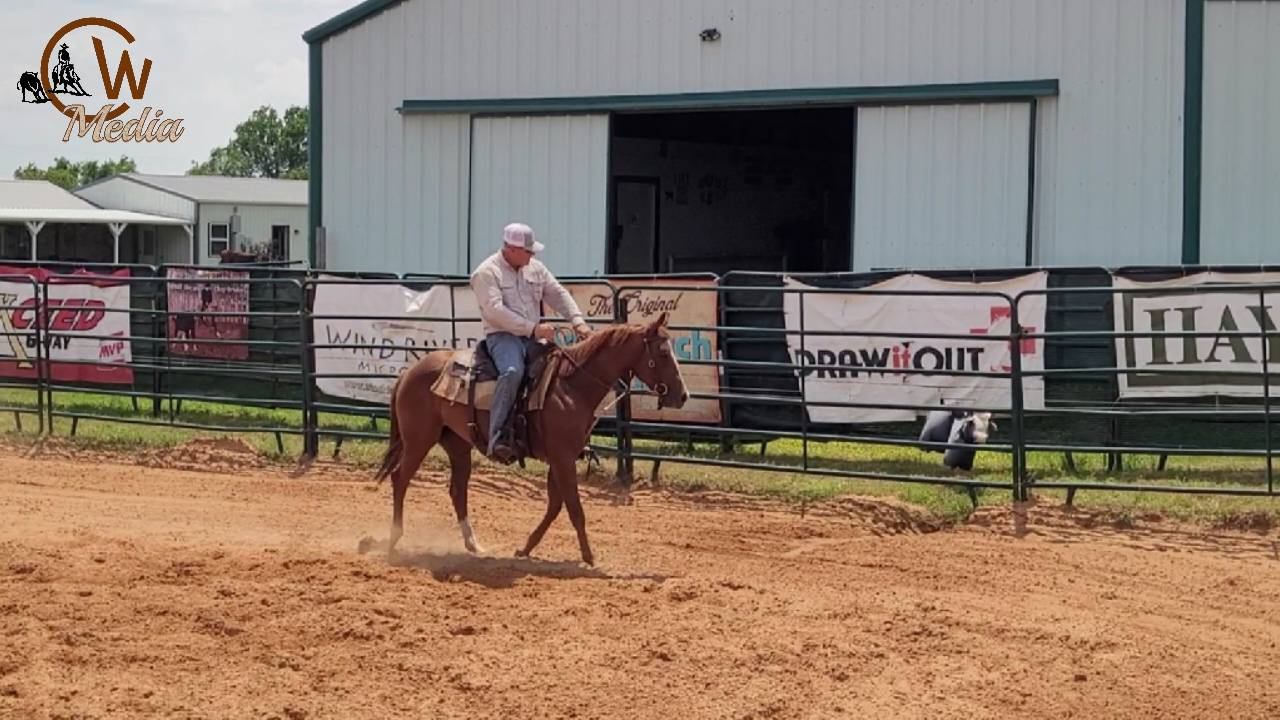 Starting A Two Year Old - Mechanical Cow Work