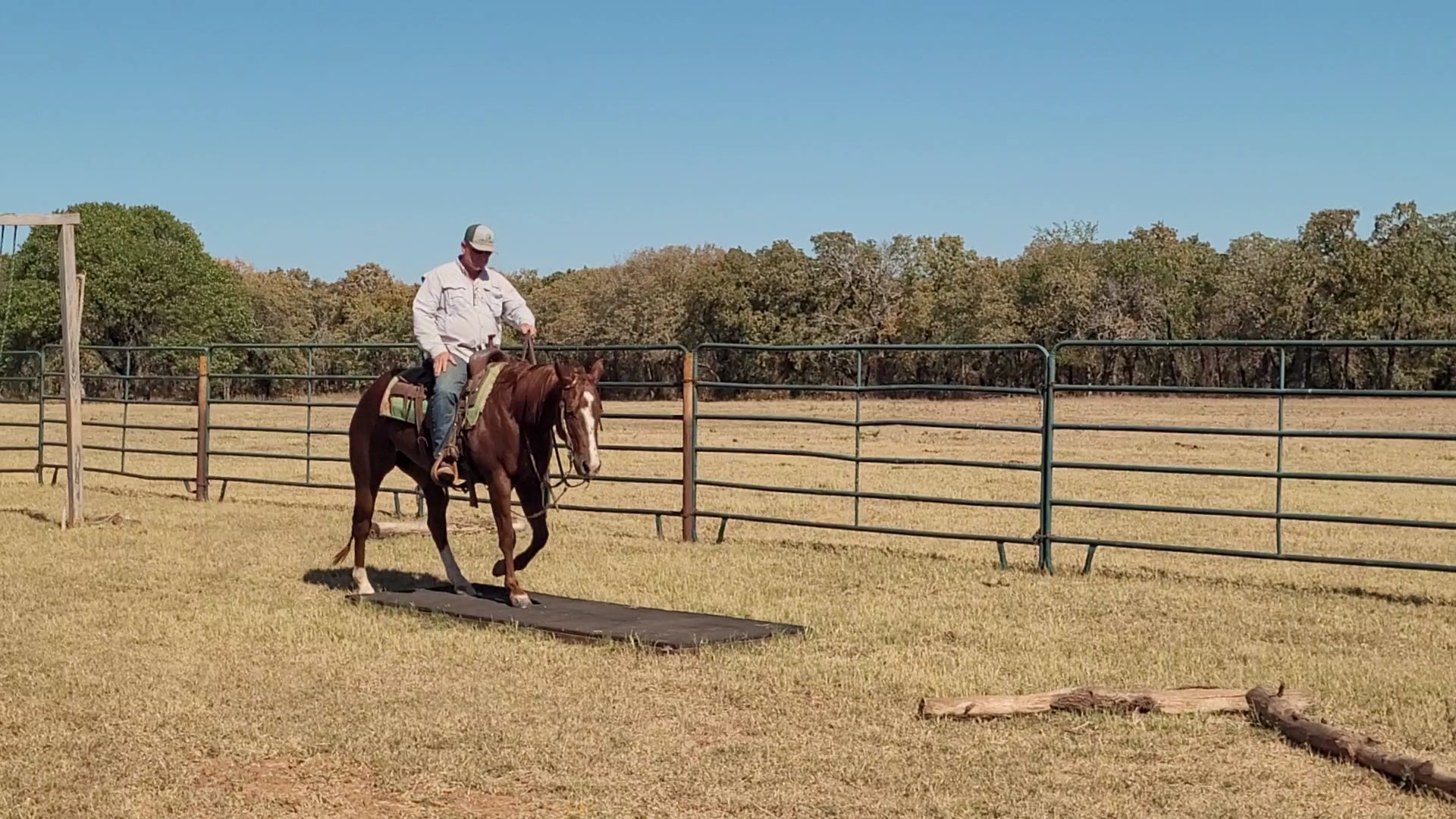 Changing Your Horses Scenery To Give Them A Variety In Their Training!