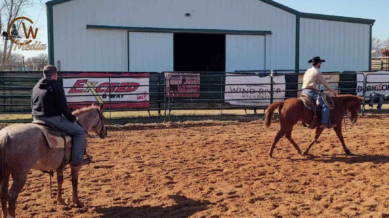 Mechanical Cow Lessons - CW Elite Cow Horses