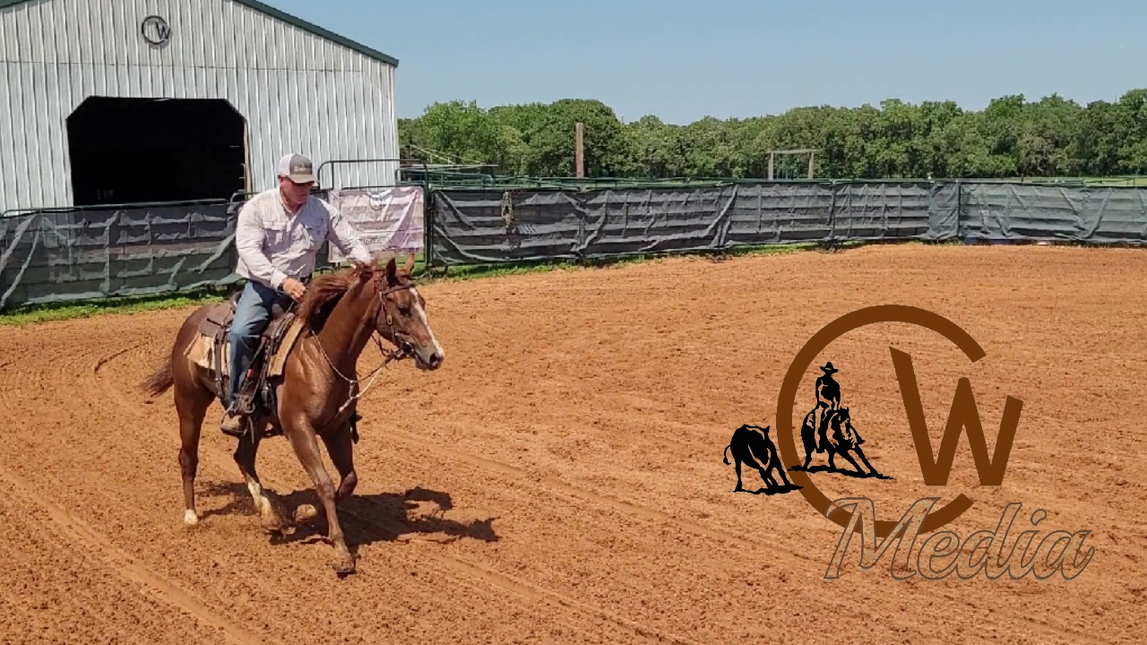 Starting A Two Year Old - Continuing The Arena Riding