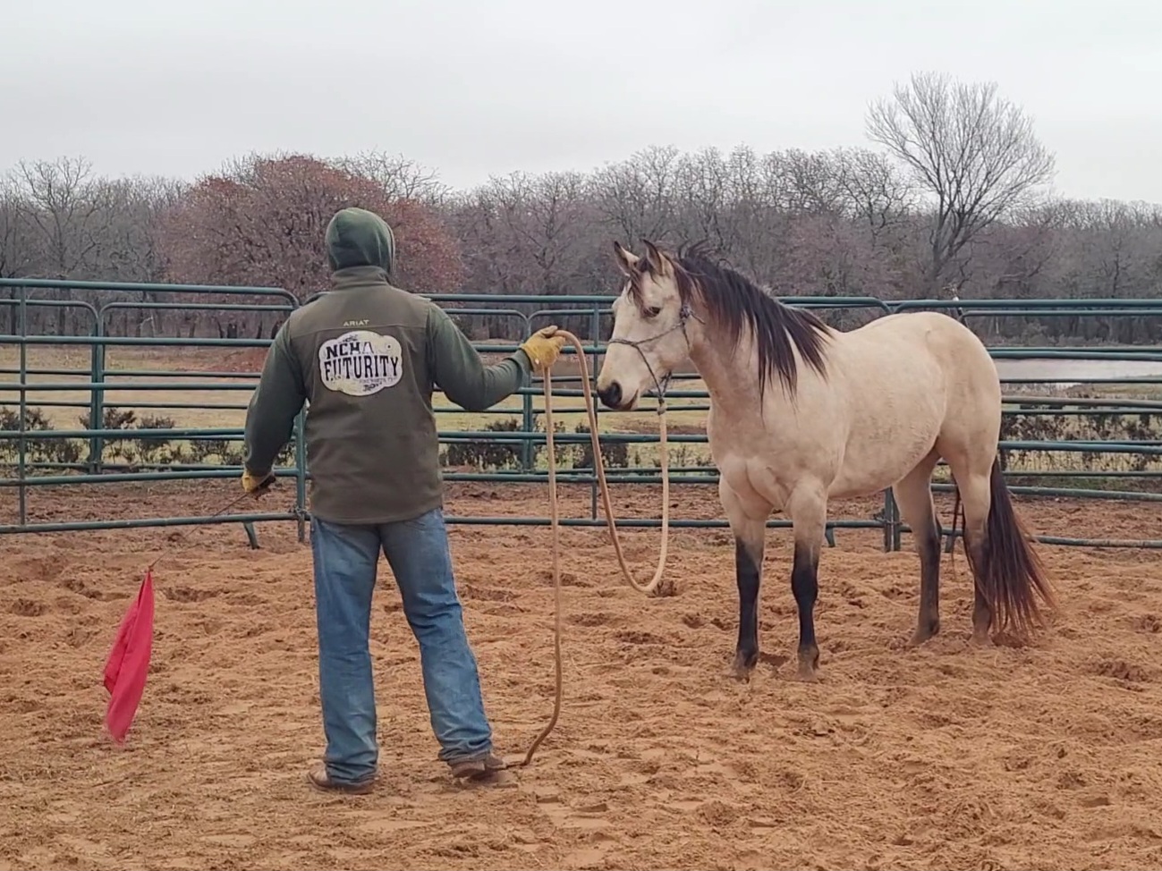 Continuation Of Training & Adding A Flag