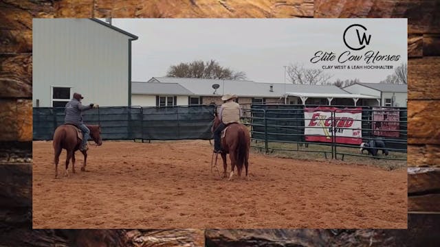 Mechanical Cow Lesson - Ranch Cutting...