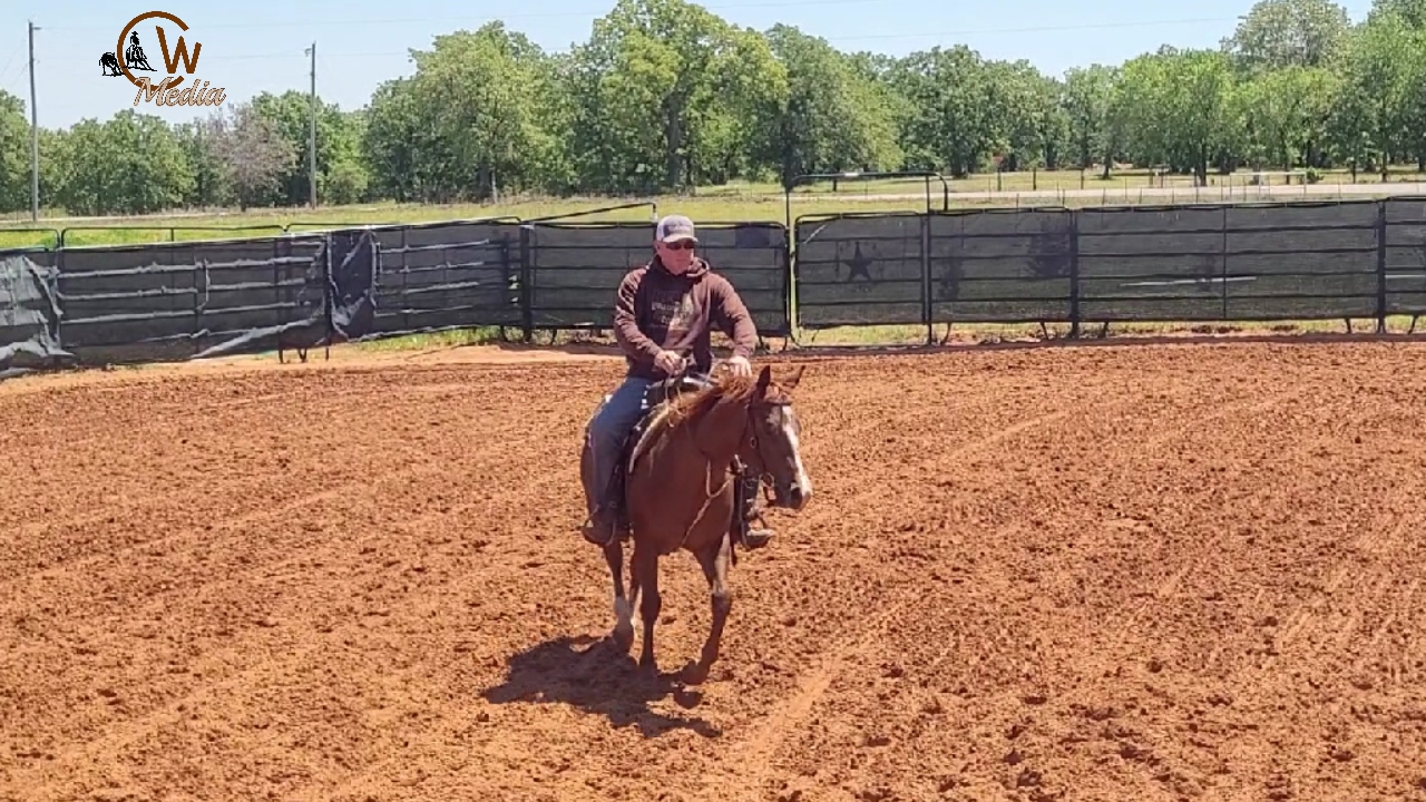 Starting A Two Year Old - Advancing Under Saddle & Arena Riding
