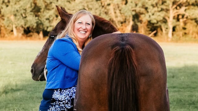 Horse Health Care & Feeding Tips