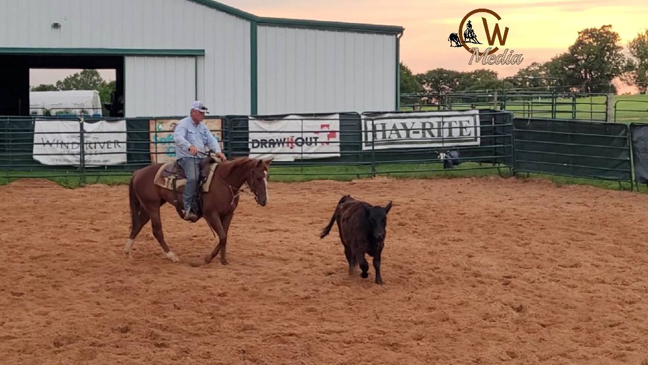 Starting A Two Year Old - Tracking A Cow In The Arena