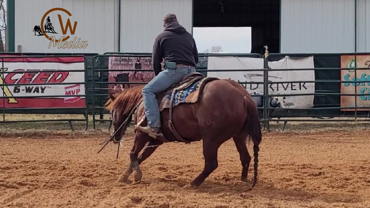 Exercises To Get Your Cutting Horse More Broke & Agile 