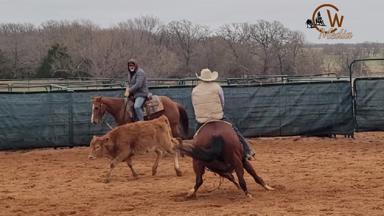 Cattle Lesson - Working A Ranch Cutting Horse