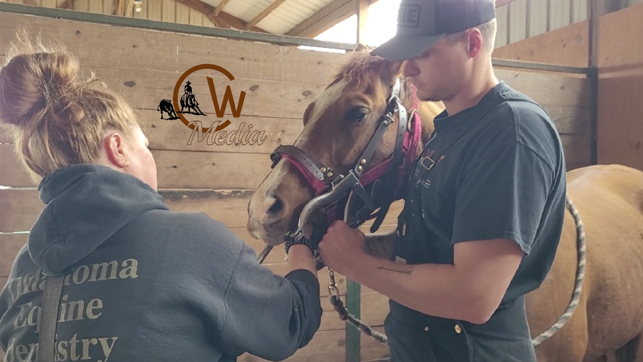 A Visit From The Equine Dentist!