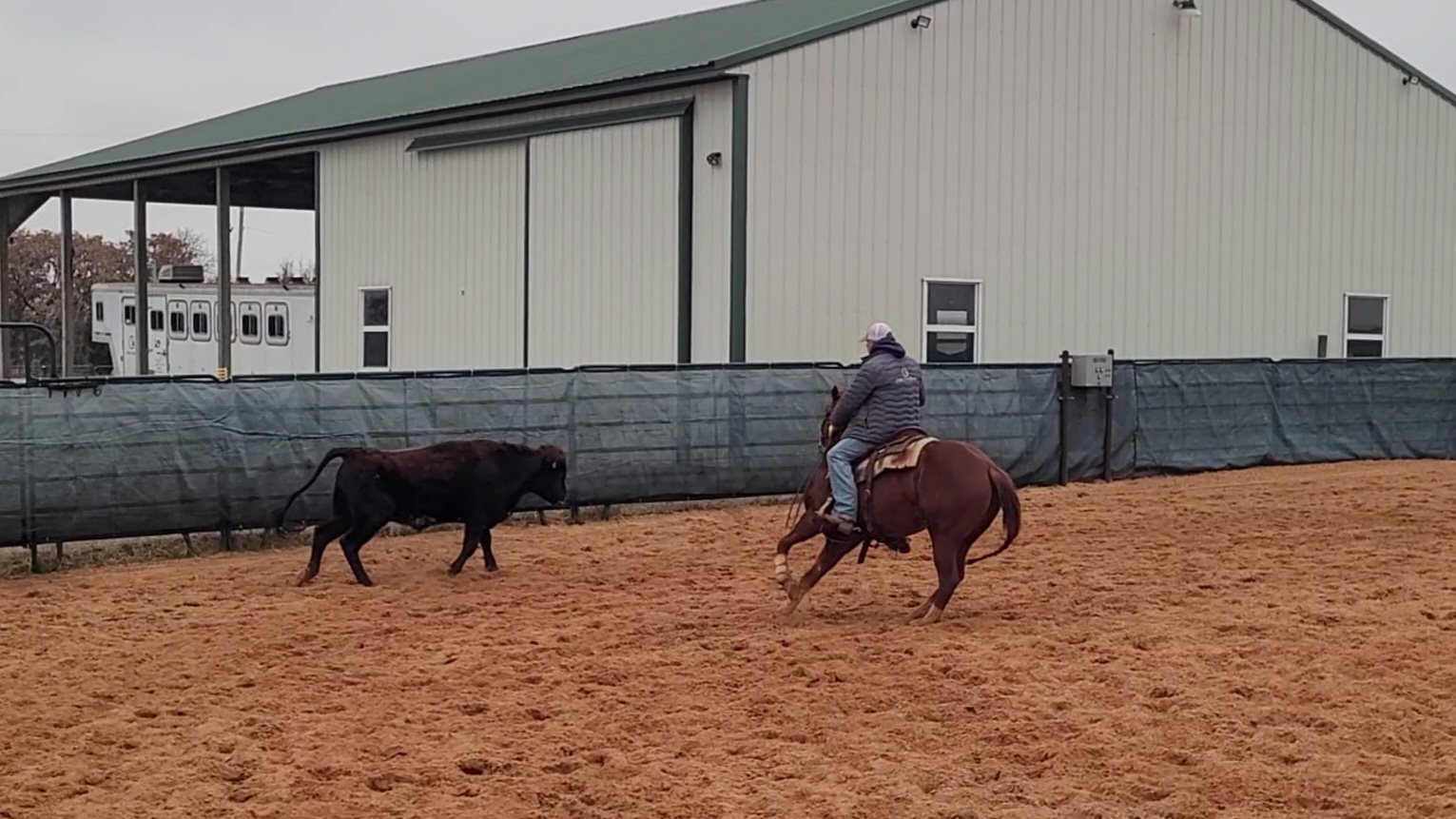 Starting A Two Year Old - Warm Up & Cutting Work At The End Of The Year