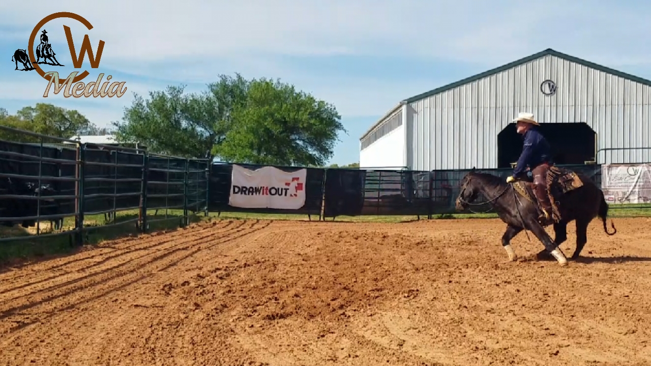 Working A Mechanical Cow with Clay West
