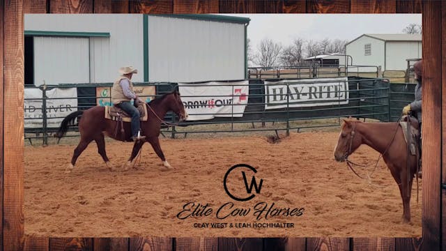 Mechanical Cow Lesson - Ranch Cutting...