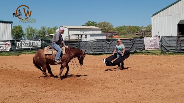 Our NEW Training Tool...Buttons The Cow!